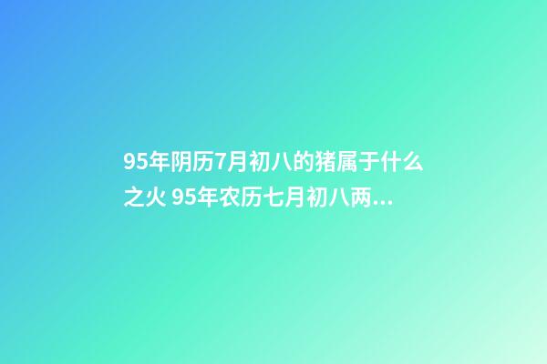 95年阴历7月初八的猪属于什么之火 95年农历七月初八两点零八分男是什么命-第1张-观点-玄机派